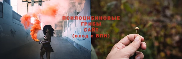 гашик Рославль