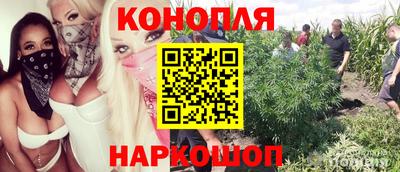 мяу мяу мука Гагарин