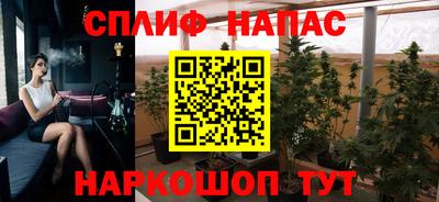 стаф Гай