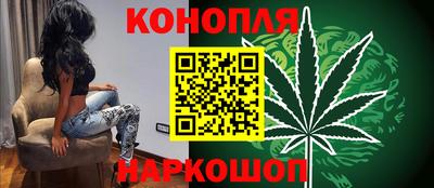 стаф Гай