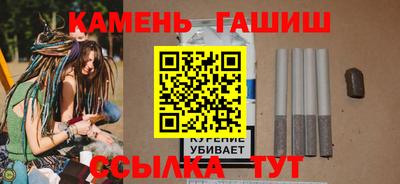 стаф Гай