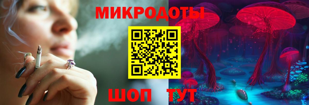 Галлюциногенные грибы Psilocybine cubensis Усолье-Сибирское